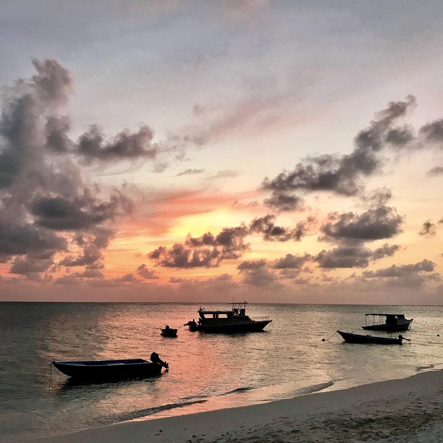 Coco Villa Thoddoo Dış mekan fotoğraf